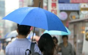 下雨情侣打伞背影视频素材