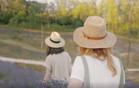 两美女行走花草间慢镜头背影视频素材