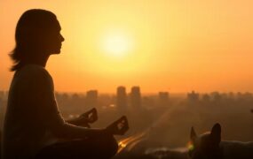 狗和静坐女子夕阳侧影视频素材