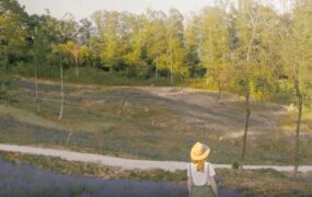 黄帽美女花草间伸展背影视频素材