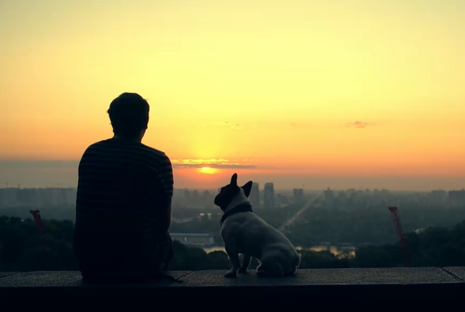 男子和狗看夕阳背影视频素材