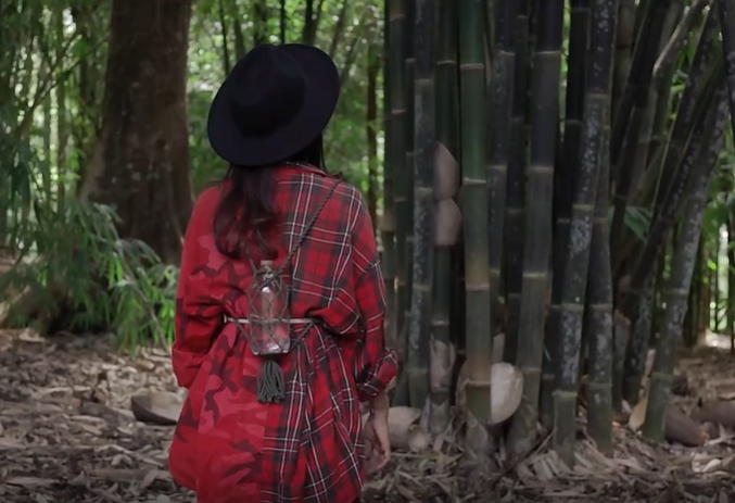 穿红色衣服美女在竹林行走短视频素材