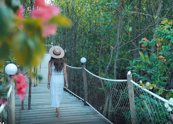 林间吊桥行走女人治愈视频素材