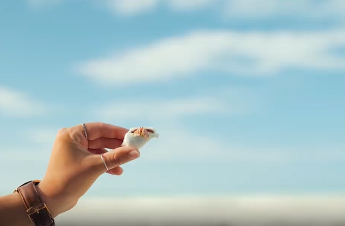 手拿贝壳治愈视频素材