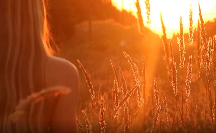 美女在麦田里慢行人物视频素材
