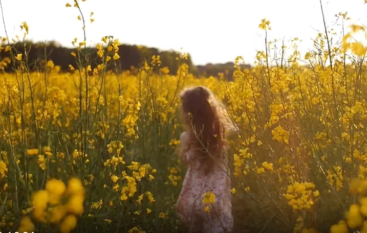 小女孩穿插在油菜花地里的美景人物视频素材