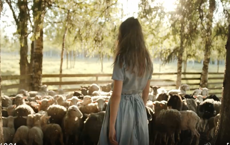 长发美女在羊群中行走人物视频素