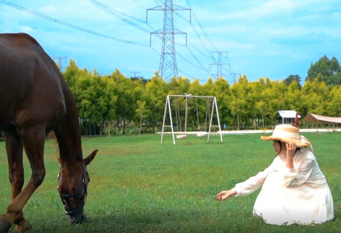 女孩在马场草地上和马儿合拍视频素材
