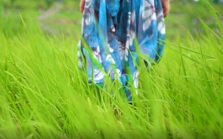 一个人行走在草地伤感视频素材