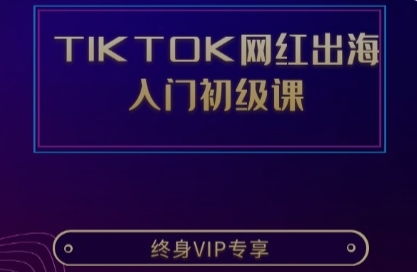 TIKTOK网红出海 入门初级课