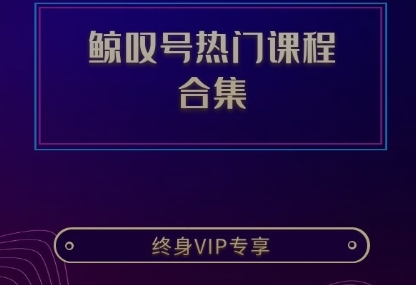 鲸叹号热门课程闲鱼，TIKTOK，视频号课程