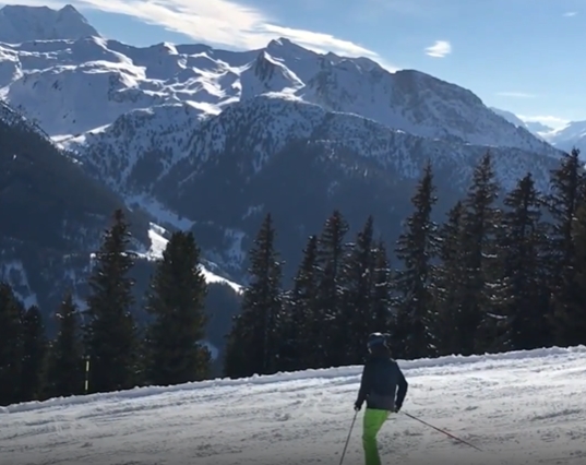 雪山森林中滑雪视频素材