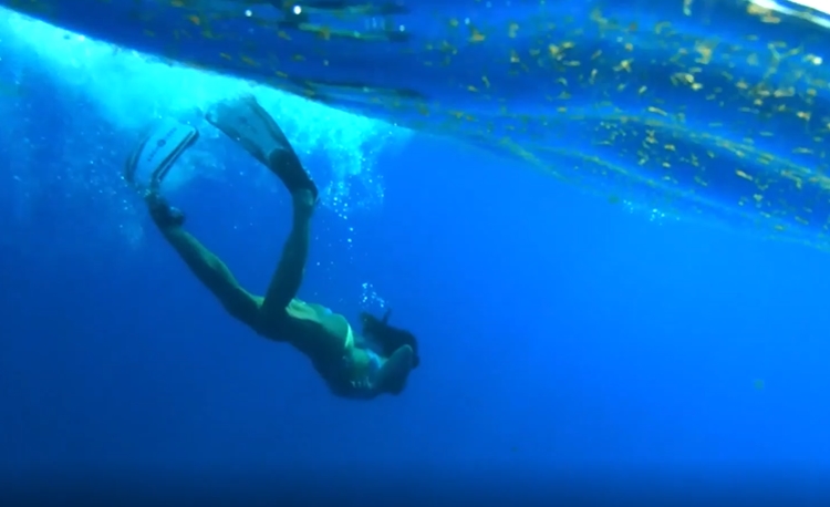 潜水的女人视频素材